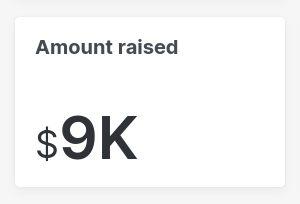 amount raised with format
