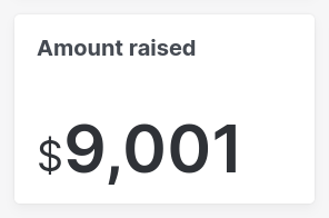 amount raised without format